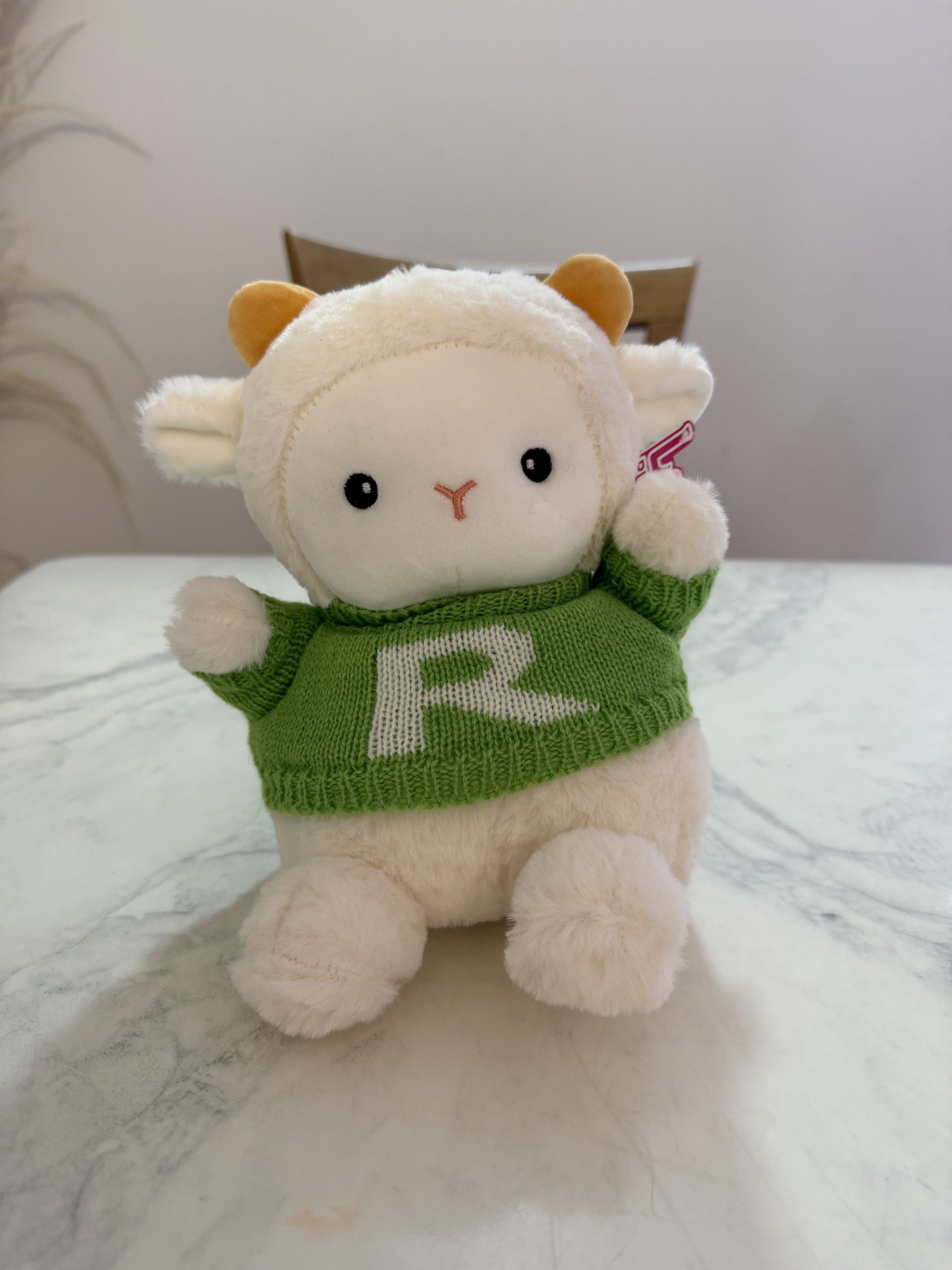 Peluche Oveja Con Ropa - Image 2